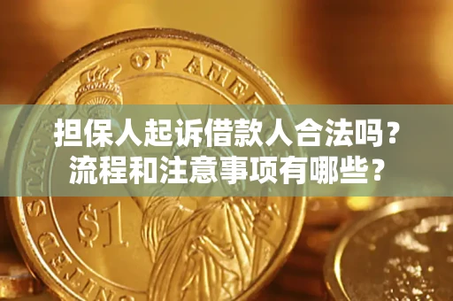 北京担保人起诉借款人合法吗？流程和注意事项有哪些？