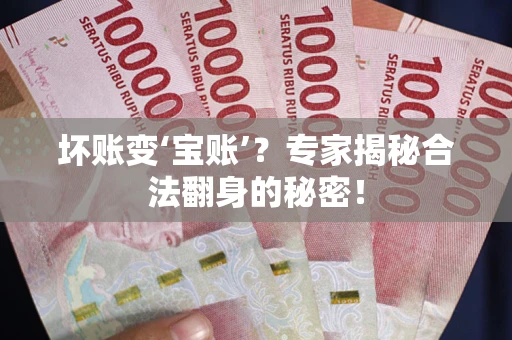 北京坏账变‘宝账’？专家揭秘合法翻身的秘密！