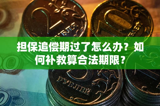 北京担保追偿期过了怎么办？如何补救算合法期限？