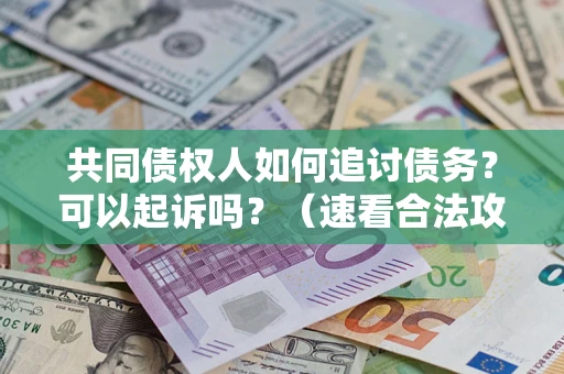 北京共同债权人如何追讨债务？可以起诉吗？（速看合法攻略）