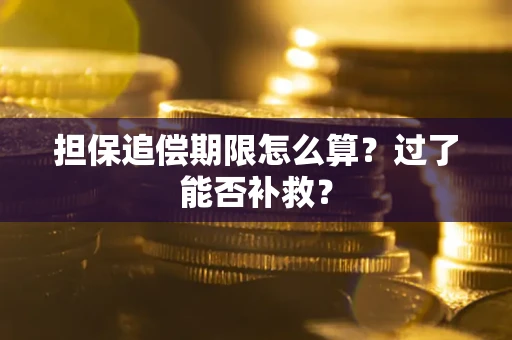北京担保追偿期限怎么算？过了能否补救？